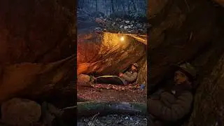 building cave shelter, bushcraft camping in the wild #bushcraftcamping #survival #shorts