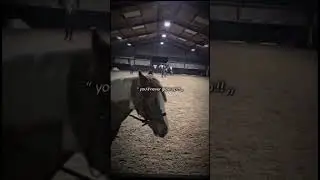 ignore the quality #horse #sansansehorhorse #horseenthusiast #straykids #equestrianjourney