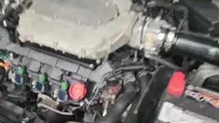 Cammed V6 Accord  !! 😳 HUGE UPGRADE