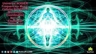Universal NOGIER Frequencies Music,Cellular,Nutritional,Movement,Coordination,Nerves,Emotional,Intel