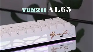 YUNZII AL65 | A Standout 65% Keyboard with Innovative Side RGB Lighting