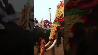 ചെങ്ങന്നൂർ മഹാദേവന്റ് കടാക്ഷം എല്ലാവർക്കും ഉണ്ടാവട്ടെ #chengannur #temple #shortsfeed