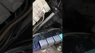 Is 250 Lexus how to replace block fuse (motovelez@gmail.com)