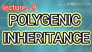 POLYGENIC INHERITANCE