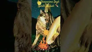 La Dimensione Degli Spiriti Animali 🪶#spiritualit&agrave; #pratiche spirituali