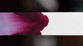 4K Ink Chromatography Timelapse: KWZ Maroon #2