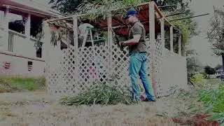 Putting a roof on our sukkah!