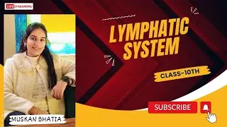 ~Lymphatic System || Class 10th ||BIOLOGY || life processes
