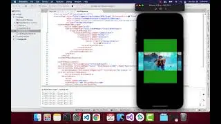 Xamarin forms Collection View Selection Color
