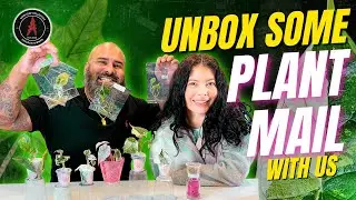 1st Big Unbox of 2026