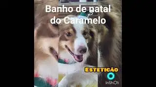 Banho do Caramelo