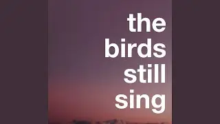 The Birds Still Sing (Lockdown Days)