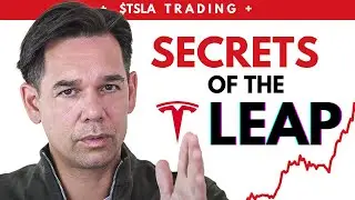How I Use LEAP OPTIONS to WIN With Tesla Stock