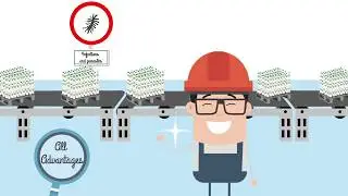 Sustainability of Plastic Pallets in the Supply Chain