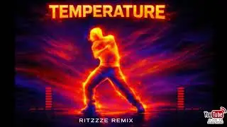 TEMPERATURE (RITZZZE REMIX) | Sean Paul | Afro Tech / Festival Flip