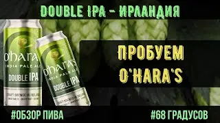 Double IPA - O'Hara's (Ирландия) ABV 7,5% | OG 19,5% | IBU 80