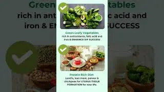 IVF Diet: What to Eat Before and During Treatment