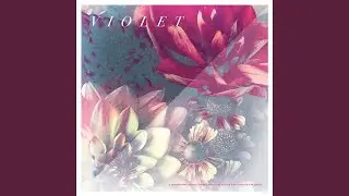 Bright Bloom