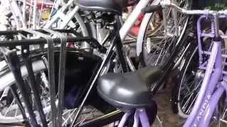 Cyclesmith on Cambridge market