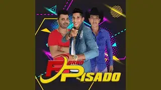 O Neguinha