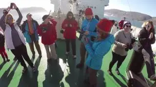 The perfect Arctic trip - a small ship cruise to this remote destination