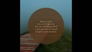 WHAT IS MY PATH? YOU ARE ON IT RIGHT NOW.