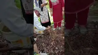 compost mall banaune