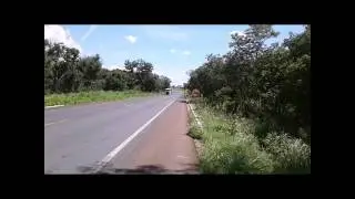 Rep das quebra de asa flogueiros da 365
