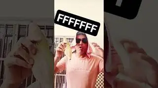 funny#funny#youtubeshorts #ytshorts #shorts #trending #viral Joytimisty #fun #comedy #chotudada