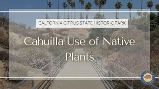 Cahuilla Uses of Native Plants