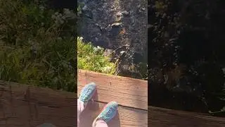 A Cool Little Footbridge on the Colorado Trail