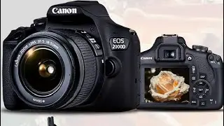 Зеркальная камера Canon EOS 2000D Rebel T7 &mdash; идеальная камера для начинающих от Canon