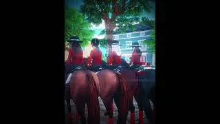 Best Club 🥹🥹🥹 #sso #club #starstable #starstableonline #horse