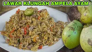 LAWAR KLUNGAH AMPELA AYAM #2 😍 JEG PASTI JAEN NE