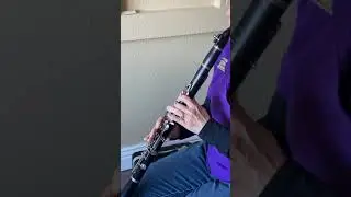 Selmer Signet Special wood clarinet