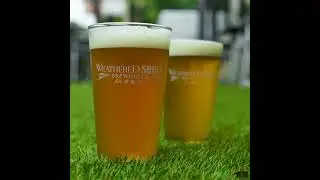 The Session | Weathered Souls Brewing Co.