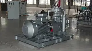 Zero leakage compressor