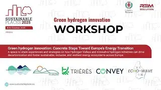 Workshop - Green hydrogen innovation: Concrete steps toward Europe&rsquo;s energy transition