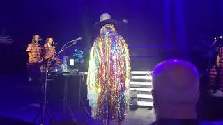 Erykah Badu @ Michigan Lottery Amphitheater 2021