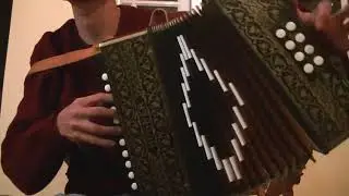 GALLO SAPUCAY - Acordeon 2 hileras 8 Bajos