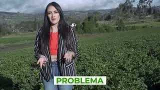 LePlant