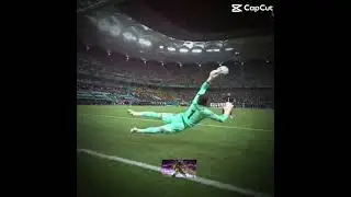 The art of goal keeping