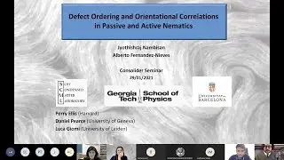 Defect ordering and Orientational Correlations in Passive and Active Nematics
