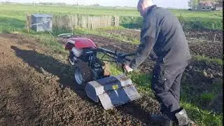 Tuinfrees Sijperda Verhuur