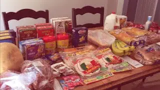 $67 Weekly Grocery Haul || Salvage Store || Aldi || Meijer