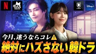 結局これが一番面白かった…今見るべき最新韓ドラ🇰🇷【2026年1月】