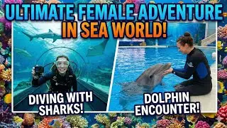 Orca- Sea world Adventure #seaworld #dolphinshow #whale #marinashow