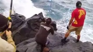 ULUA ACTION MOLOKAI