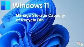 How to Manage Recycle Bin Storage Capacity in Windows 11