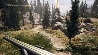 Friendly Fire FarCry 5